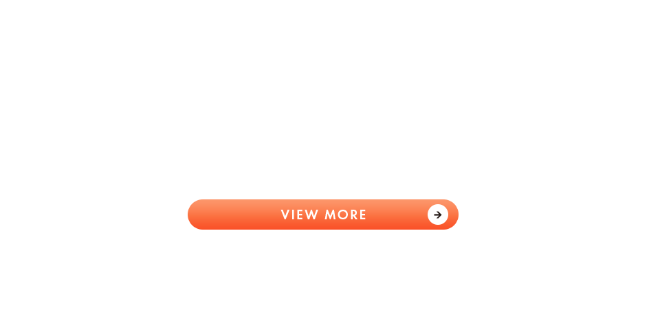 事業内容